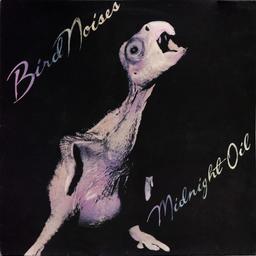 Bird noises / Midnight Oil | Midnight Oil (groupe australien de rock). Interprète