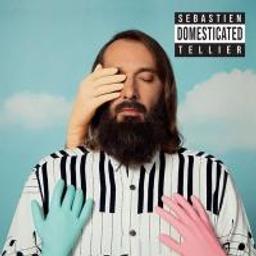 Domesticated / Sébastien Tellier | Tellier, Sébastien (1975-) - chanteur et musicien français d'électro rock. Interprète