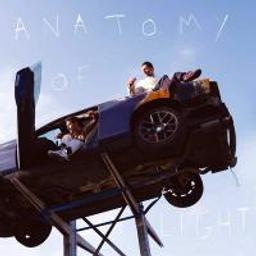 Anatomy of light / AaRON | Aaron (groupe français de pop rock). Interprète