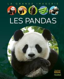 Les pandas / Stéphanie Redoulès | Redoulès, Stéphanie. Auteur